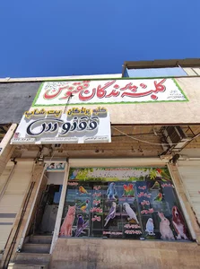 پرنده سرای ققنوس