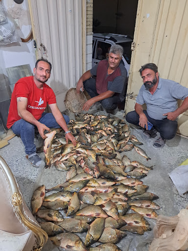 پرورش ماهی قزل آلا حجت آباد