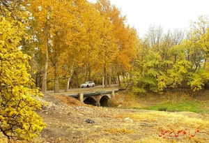 فسارود