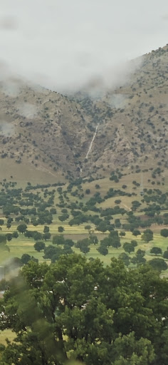 ناو کلکان