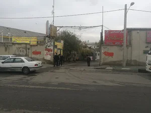 باربری زمرد