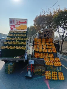 موز و انبه مرتضی