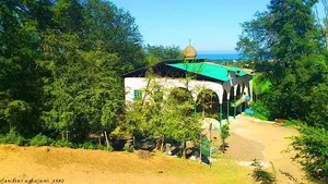 امامزاده نرگس خاتون