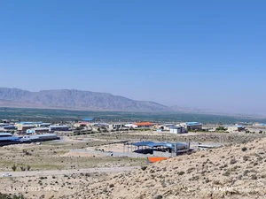 نماتدکش گیاهی نماکوب فصل پنجم، نماتدکش نماکوب ،ماهکود ،چیکود ، سرکه چوب
