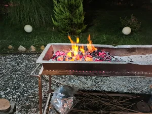 رستوران سنتی زیتون