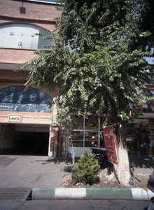 کافی نت