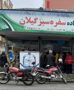 سبزیجات آماده سفره سبز گیلان
