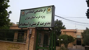 هسته گزینش