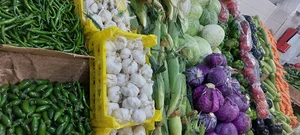 میوه فروشی بهارنارنج