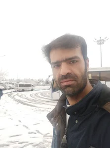مرغ و ماهی دريا