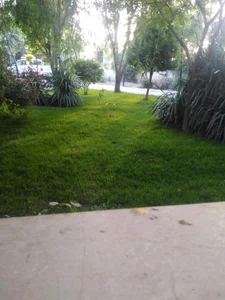 پارک بانوان صالحیه 2