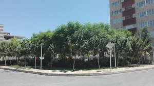 بوستان شکوفه