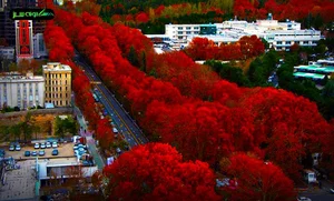 آشنایی با خیابان ولیعصر تهران