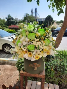 گل آمستردام