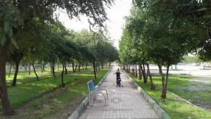 پارک پردیس