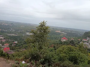 لیلا کوه