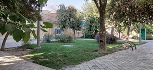بوستان ناظم الاطباء