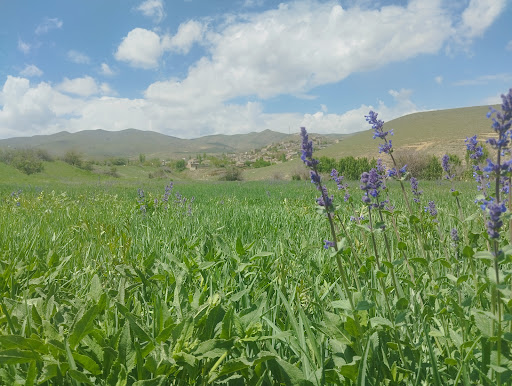 لشگران
