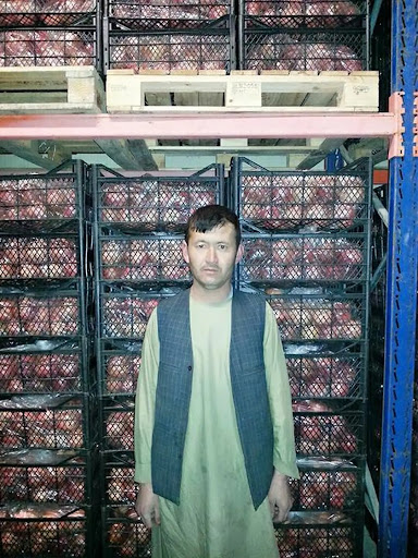 بازار شولگره