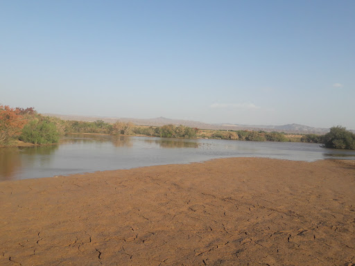 برکه دیزج