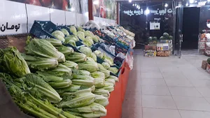 میوه فروشی نگین