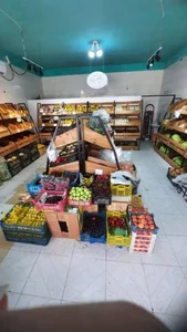 میوه سرای پاپایا 2