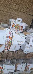 کارتن سازی ایرانیان