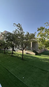 غیر انتفاعی علم و هنر