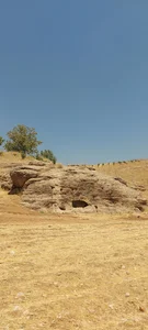 بردگوری