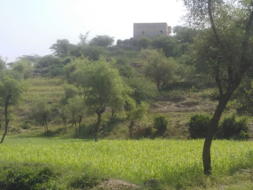 مسجد المحله