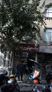پیک تیزرو