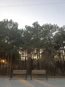 بوستان ارم