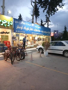 مبلمان مسعود 3