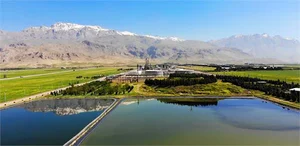 پتروشیمی بیستون