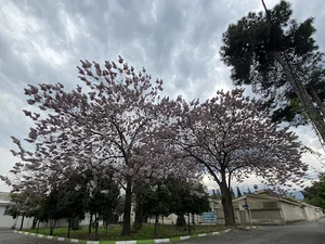شهرک فرهنگیان