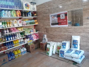 شوینده بهداشتی کیان 3