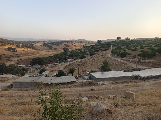 بره روز