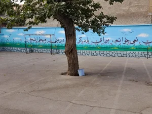 مدرسه ابتدایی جهان آرا 5