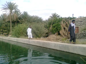 استخر پرورش ماهی(عبدالغفور نصرت ناهوک)