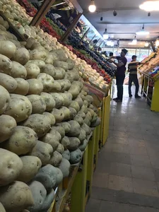 میوه سرای پرشین
