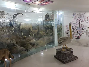 اداره محيط زيست
