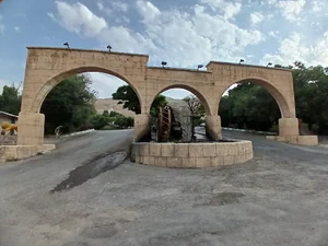 پارک شاهد