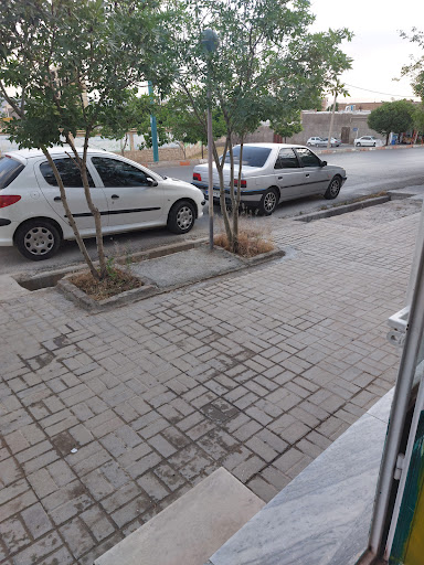 سلمونی یاسین