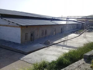 کشتارگاه صنعتی ماد طیور بروجرد