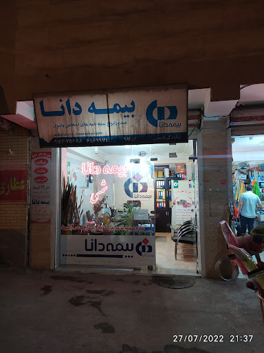 بیمه دانا