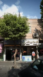 انبوه سازان دهقانی 2