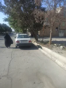 نانوایی لواشی محمدیان