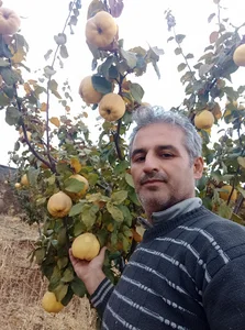 مزرعه محصولات ارگانیک خیرآبادیSFBA.OR