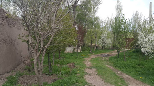 بومگردی
