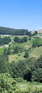 گیلان